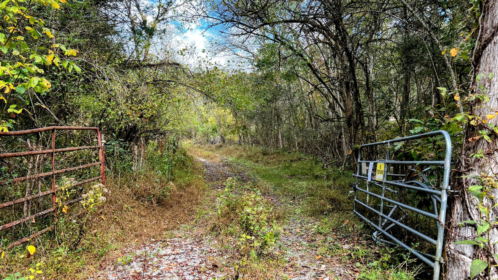 441 Pumpkin Hollow Road Liberty, TN 37095 - Photo 13 of 29 a view of stairs and wooden floor