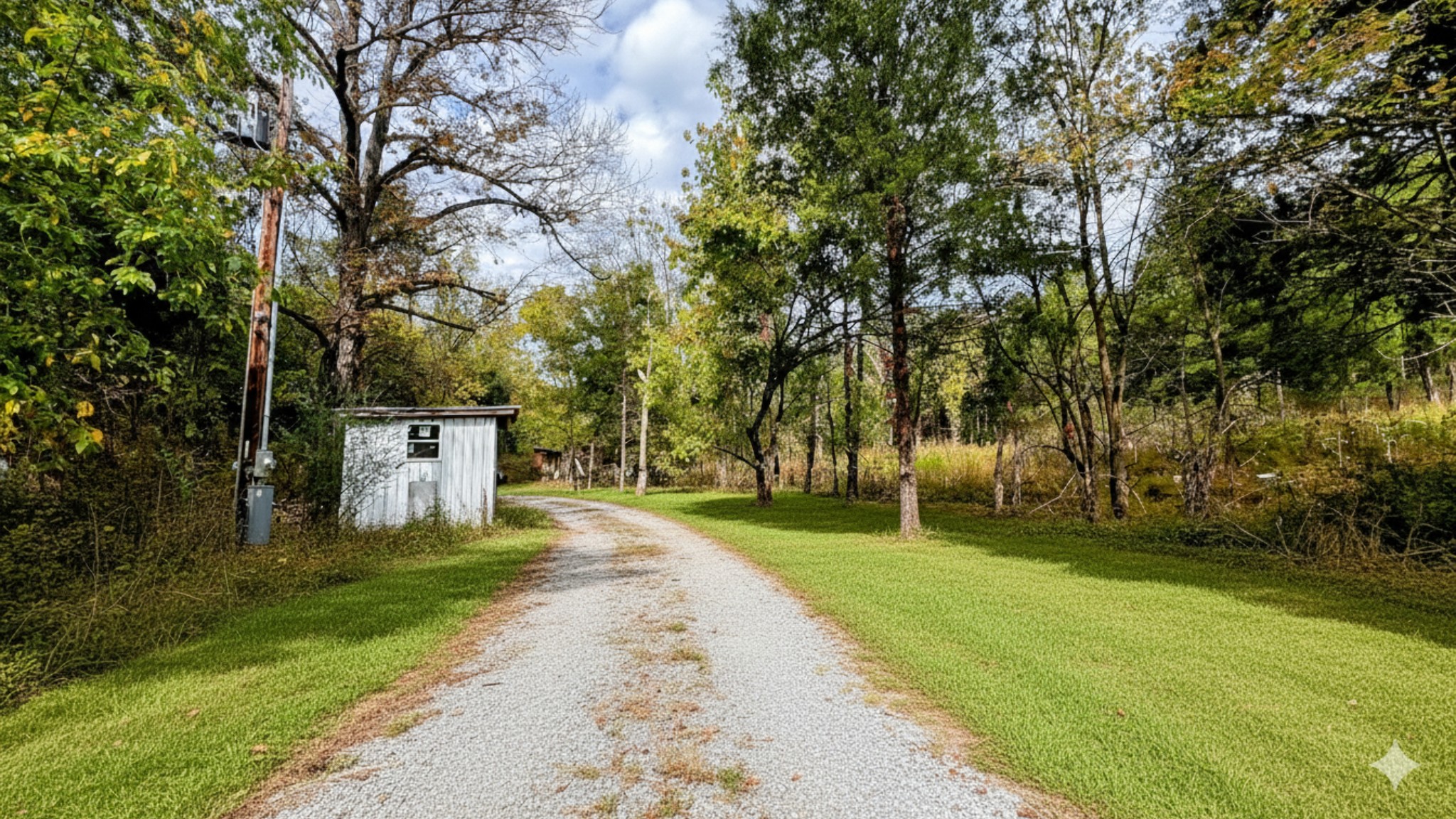 441 Pumpkin Hollow Road Liberty, TN 37095 - Photo 15 of 29 a front view of a house with a yard
