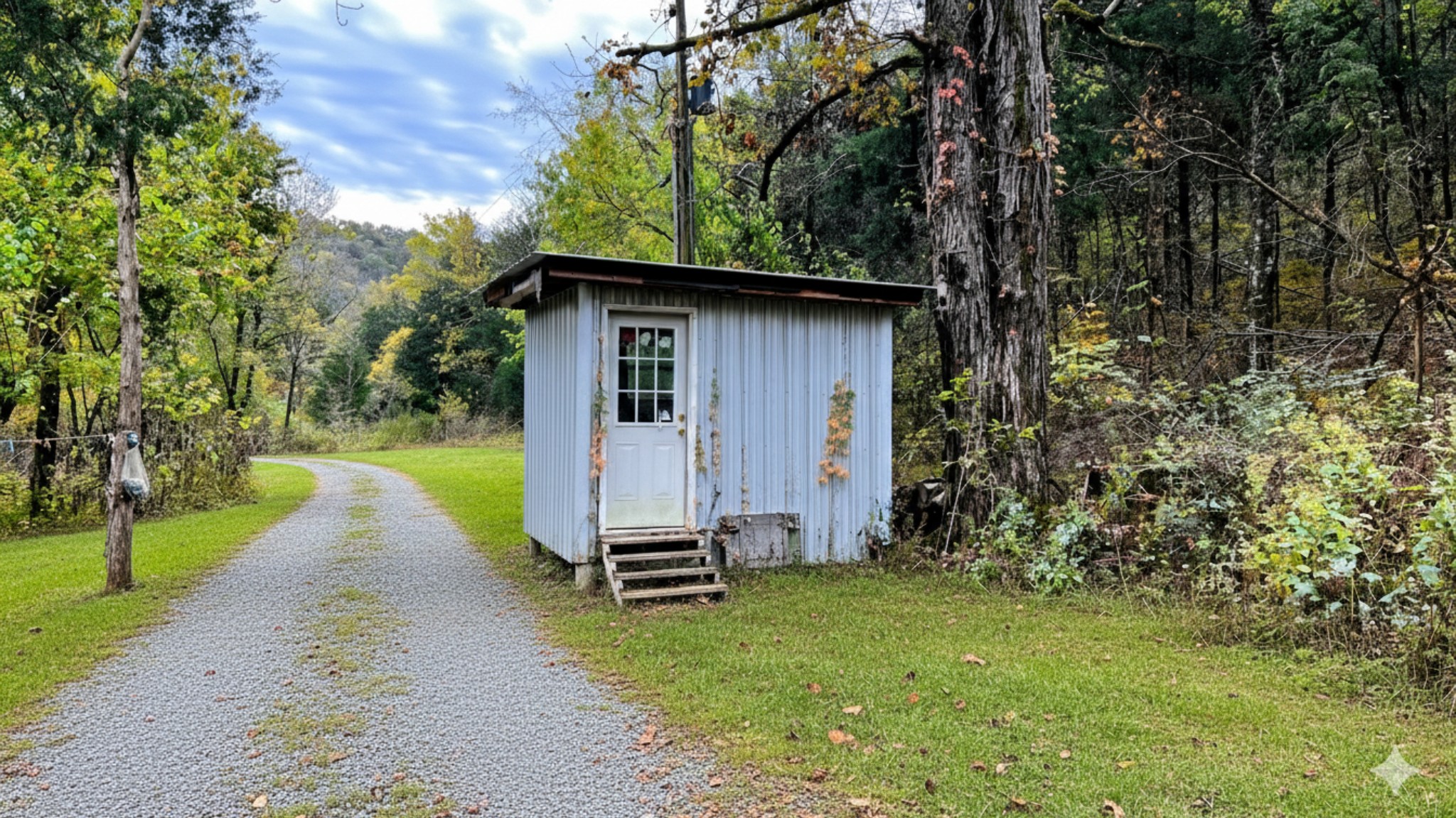441 Pumpkin Hollow Road Liberty, TN 37095 - Photo 17 of 29 a view of a backyard with a small cabin
