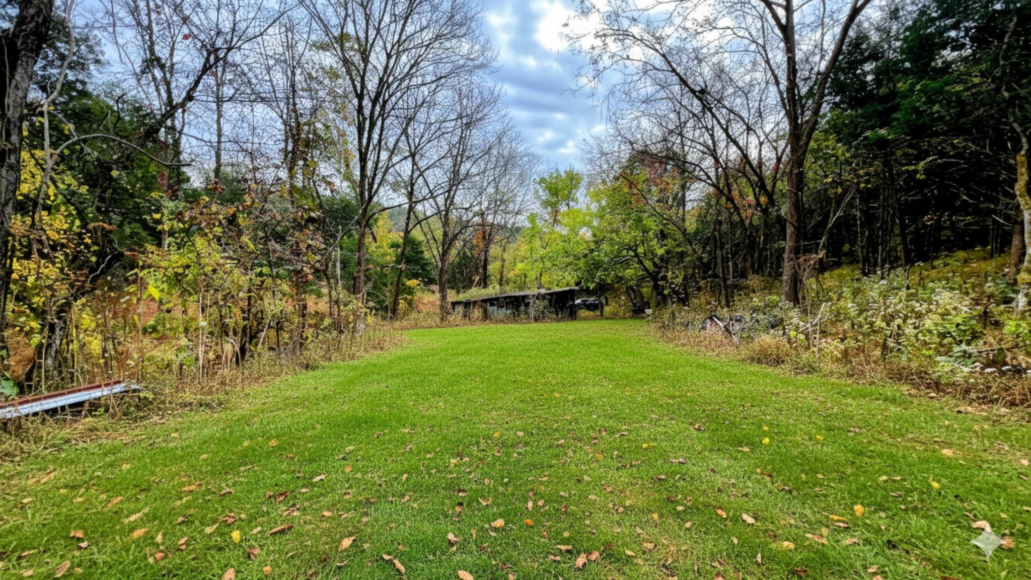 441 Pumpkin Hollow Road Liberty, TN 37095 - Photo 20 of 29 a view of yard with green space