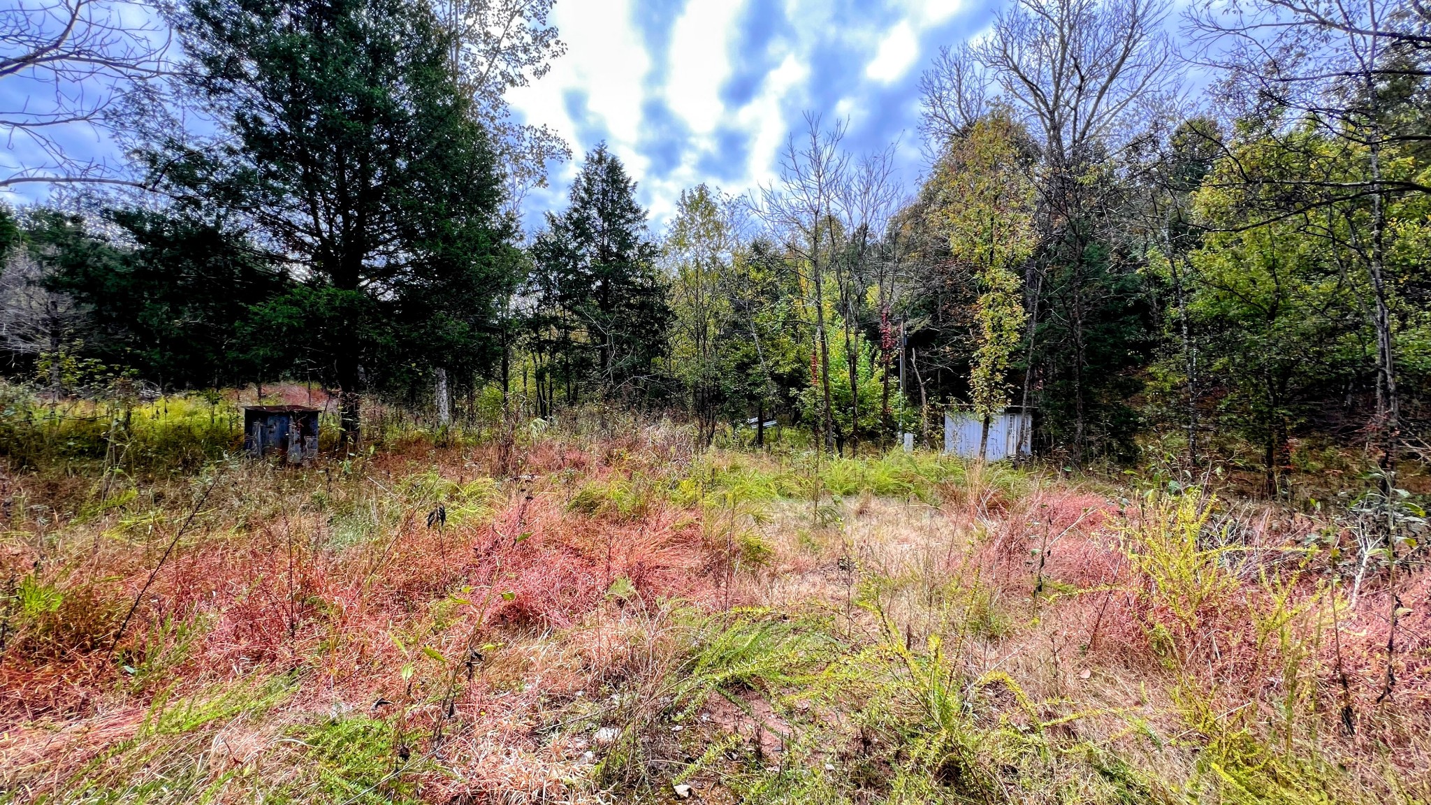 441 Pumpkin Hollow Road Liberty, TN 37095 - Photo 21 of 29 a view of backyard with green space
