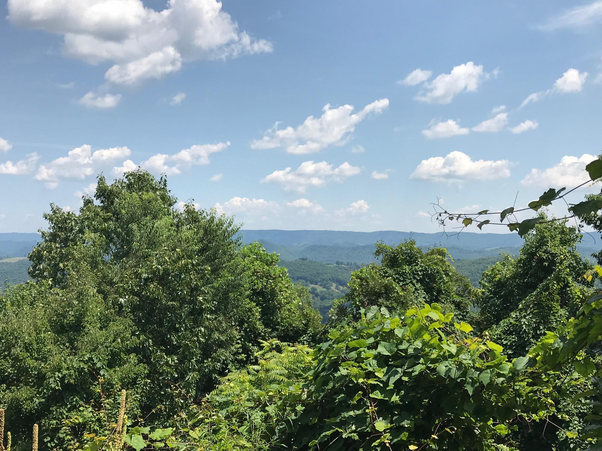 193 Clinch View Road New Tazewell, TN 37825 - Photo 4 of 17 Lot 193 Clinch View, LMS Norris Lake TN