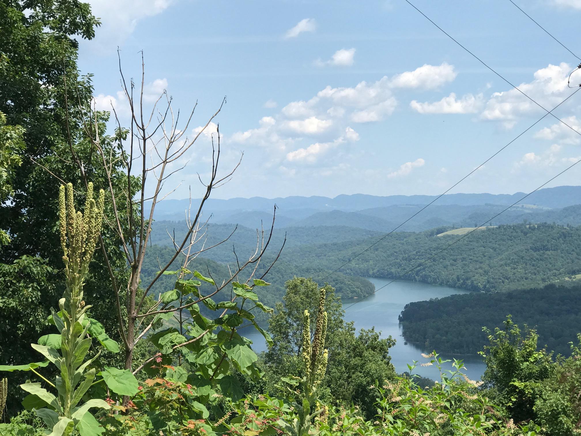 193 Clinch View Road New Tazewell, TN 37825 - Photo 5 of 17 Lot 193 Clinch View, LMS Norris Lake TN