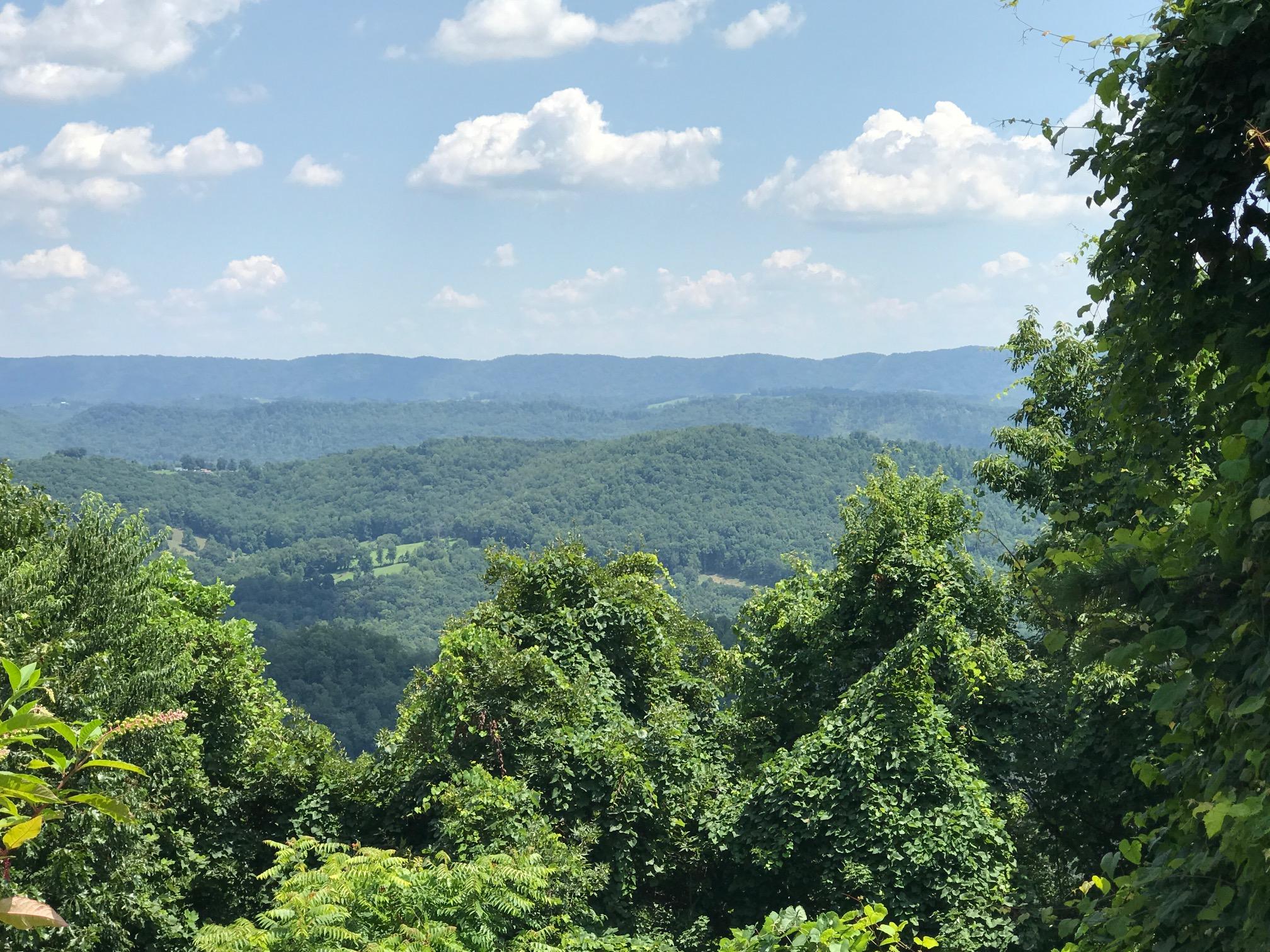 193 Clinch View Road New Tazewell, TN 37825 - Photo 6 of 17 Lot 193 Clinch View, LMS Norris Lake TN