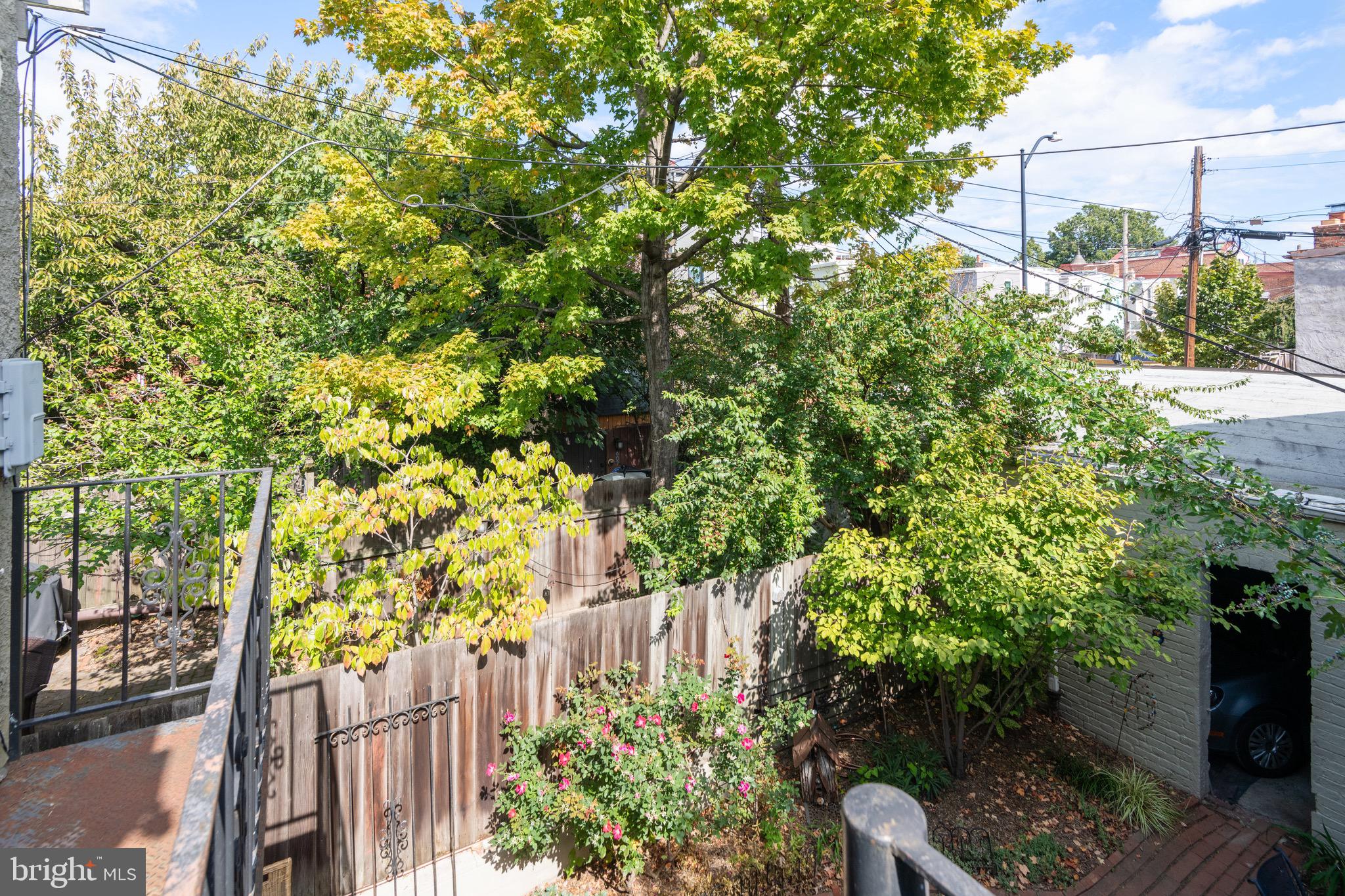 114 6th Street Southeast Washington, DC 20003 - Photo 8 of 30