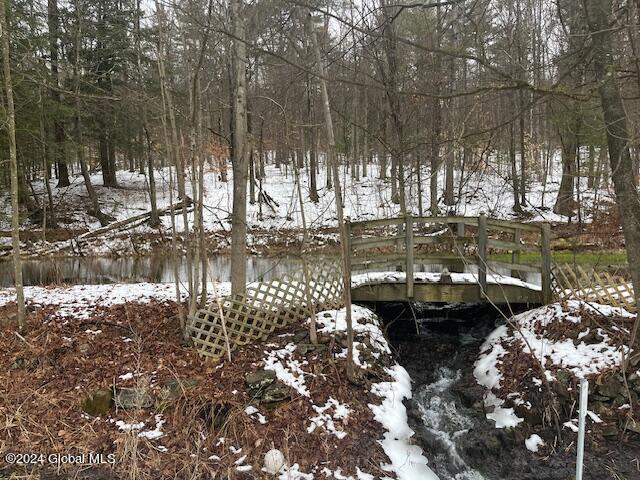 79 Barney Road Greenfield, NY 12850 - Photo 3 of 19 IMG_0369