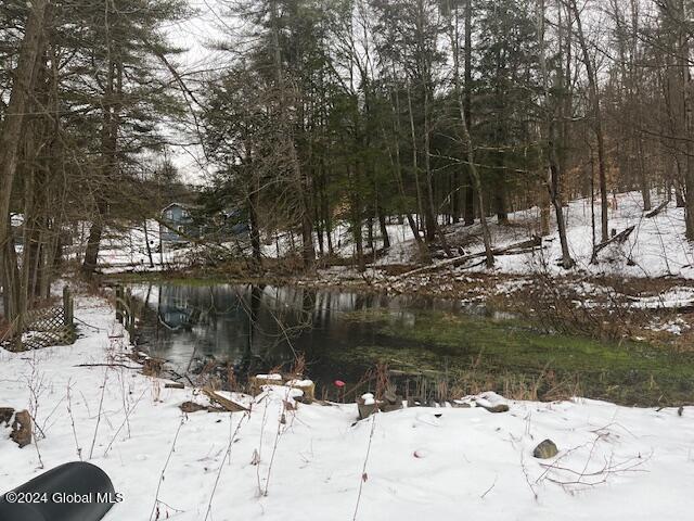 79 Barney Road Greenfield, NY 12850 - Photo 4 of 19 IMG_0370