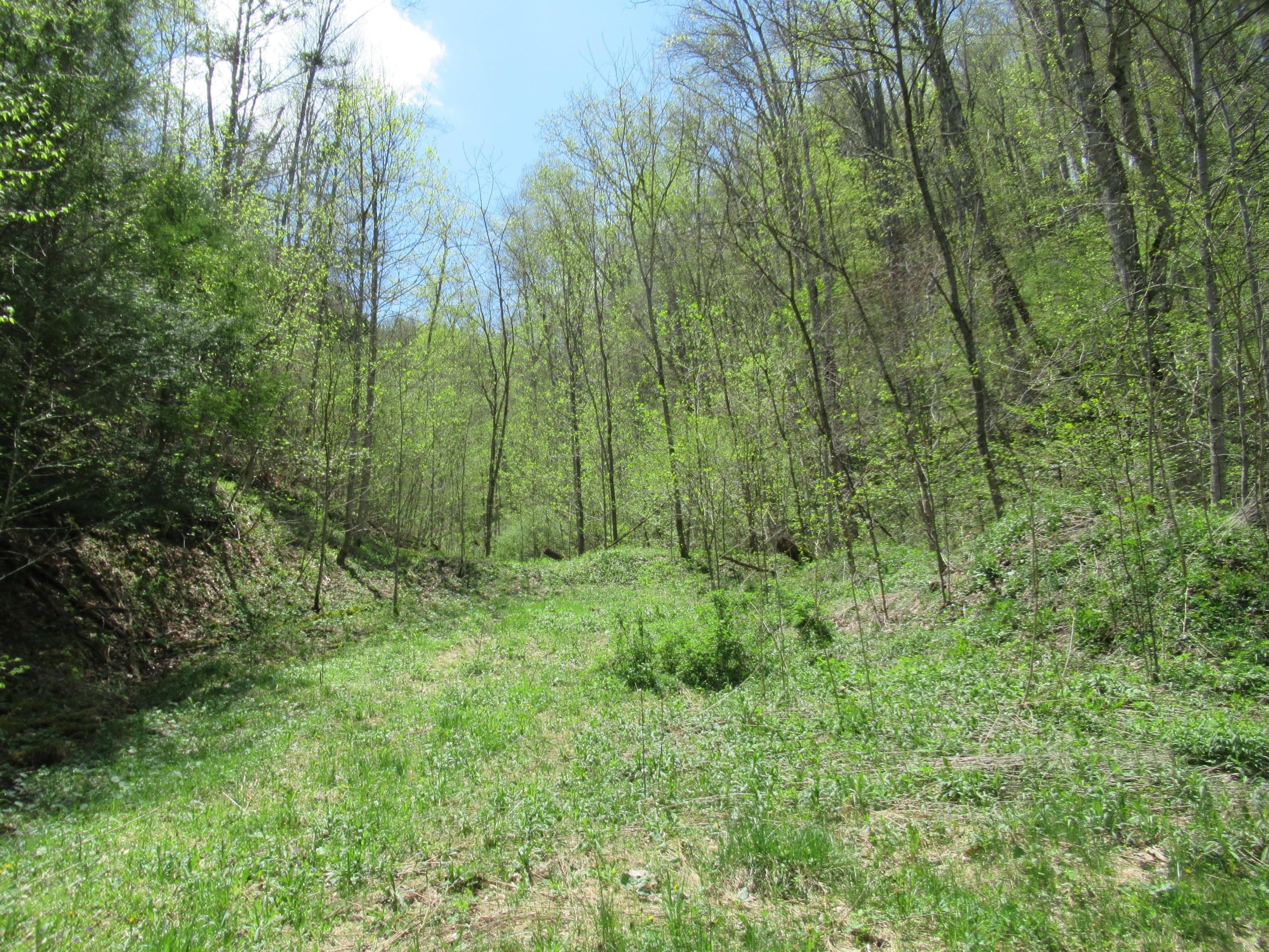 Fitzwater Branch Road Renick, WV 24966 - Photo 10 of 18 Gallery Image 10