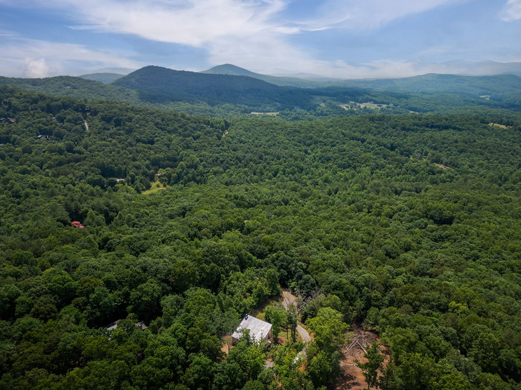 310 Wunder Bear Ridge Morganton, GA 30560 - Photo 47 of 54