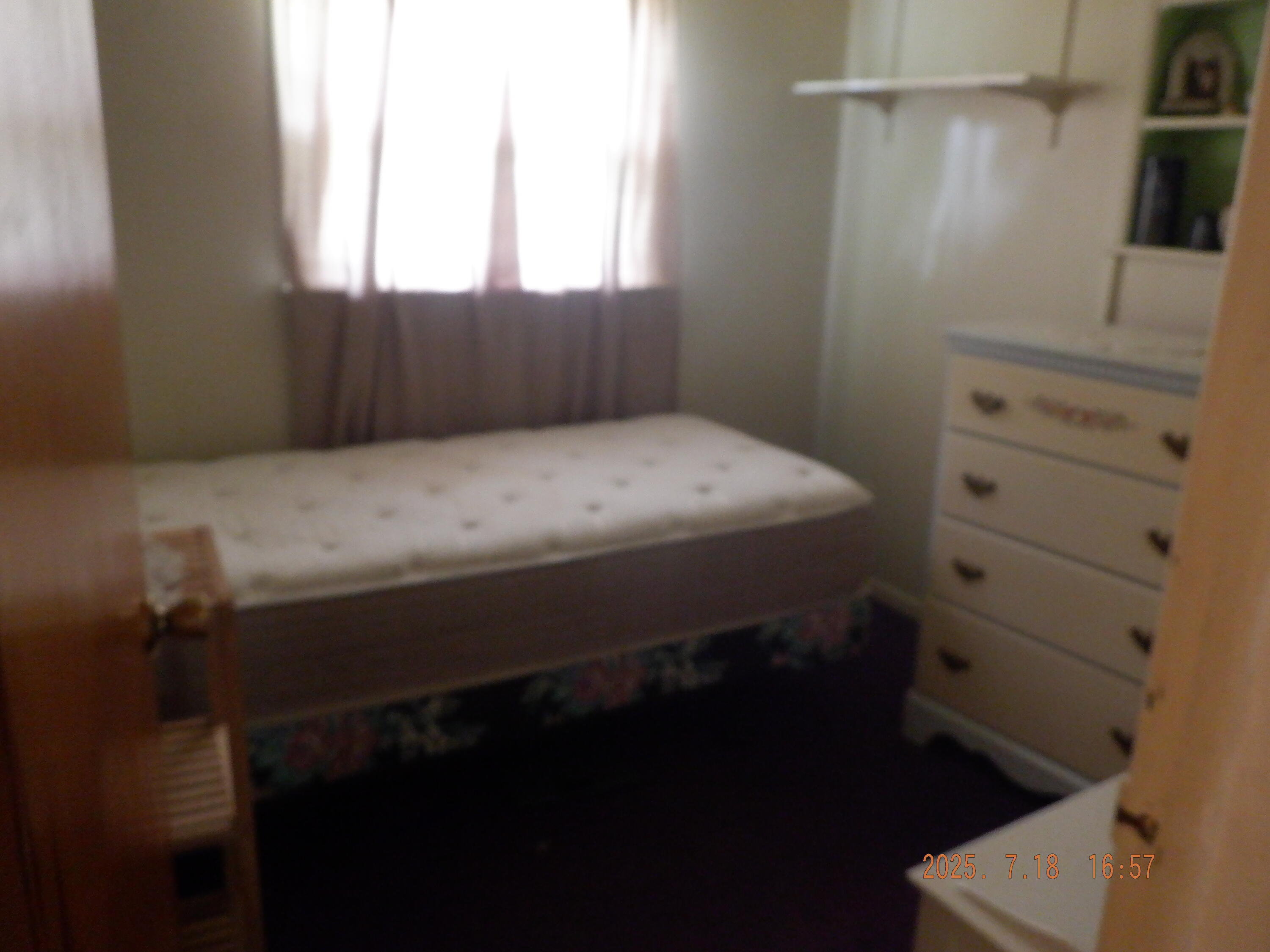 170 Nettles Street Springfield, MI 49037 - Photo 14 of 18 DSCF7396