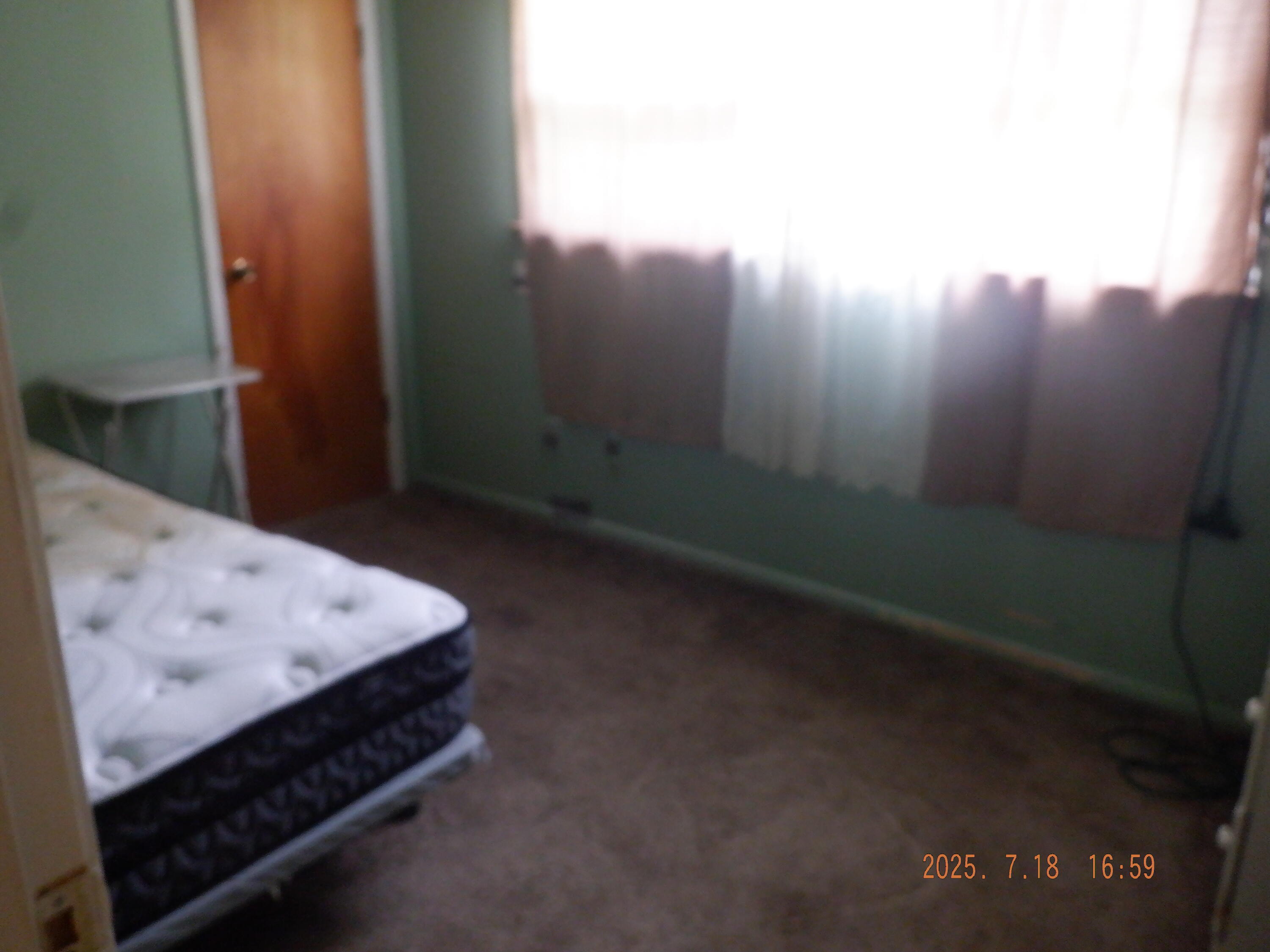 170 Nettles Street Springfield, MI 49037 - Photo 16 of 18 DSCF7398