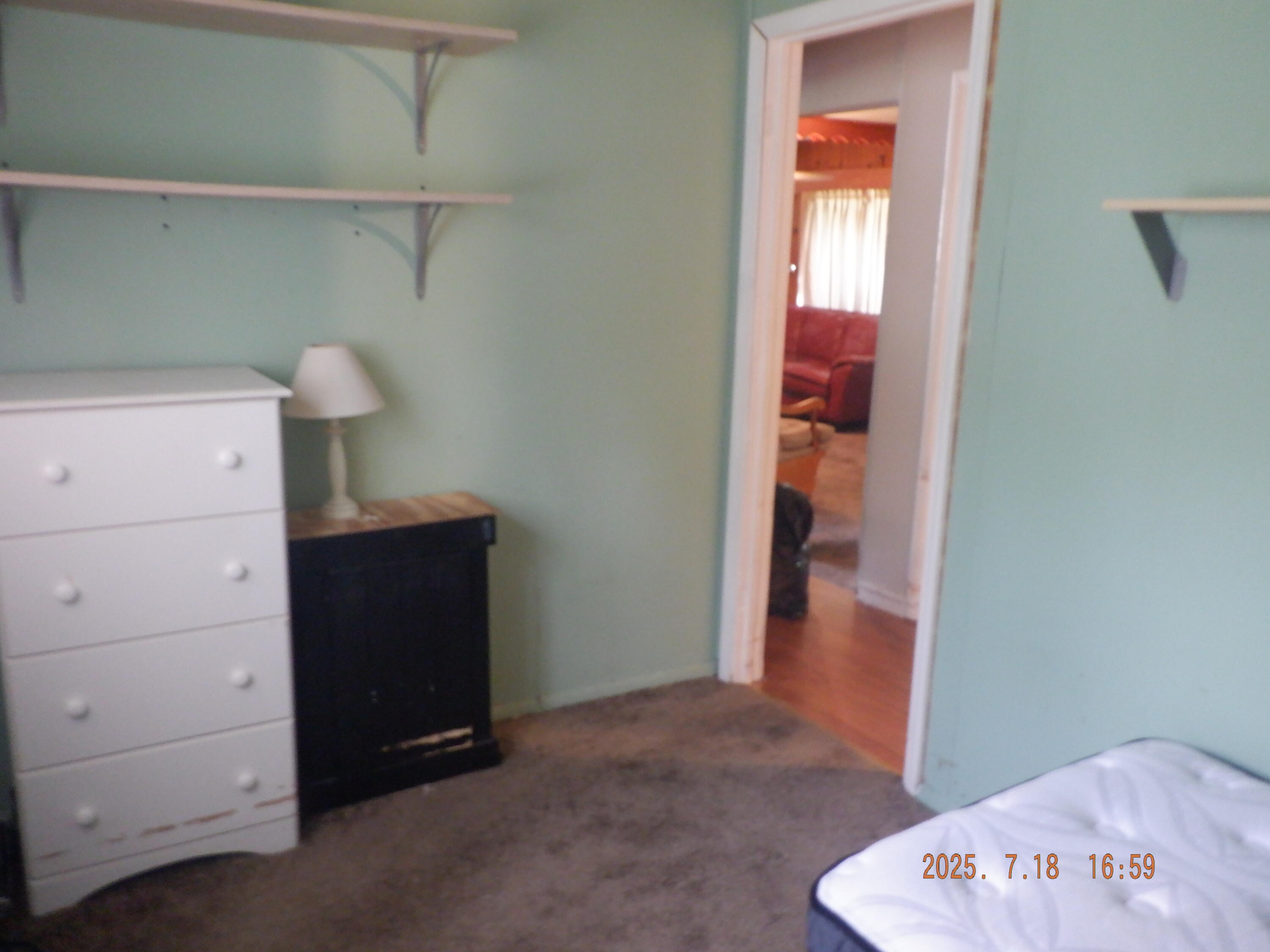 170 Nettles Street Springfield, MI 49037 - Photo 17 of 18 DSCF7399