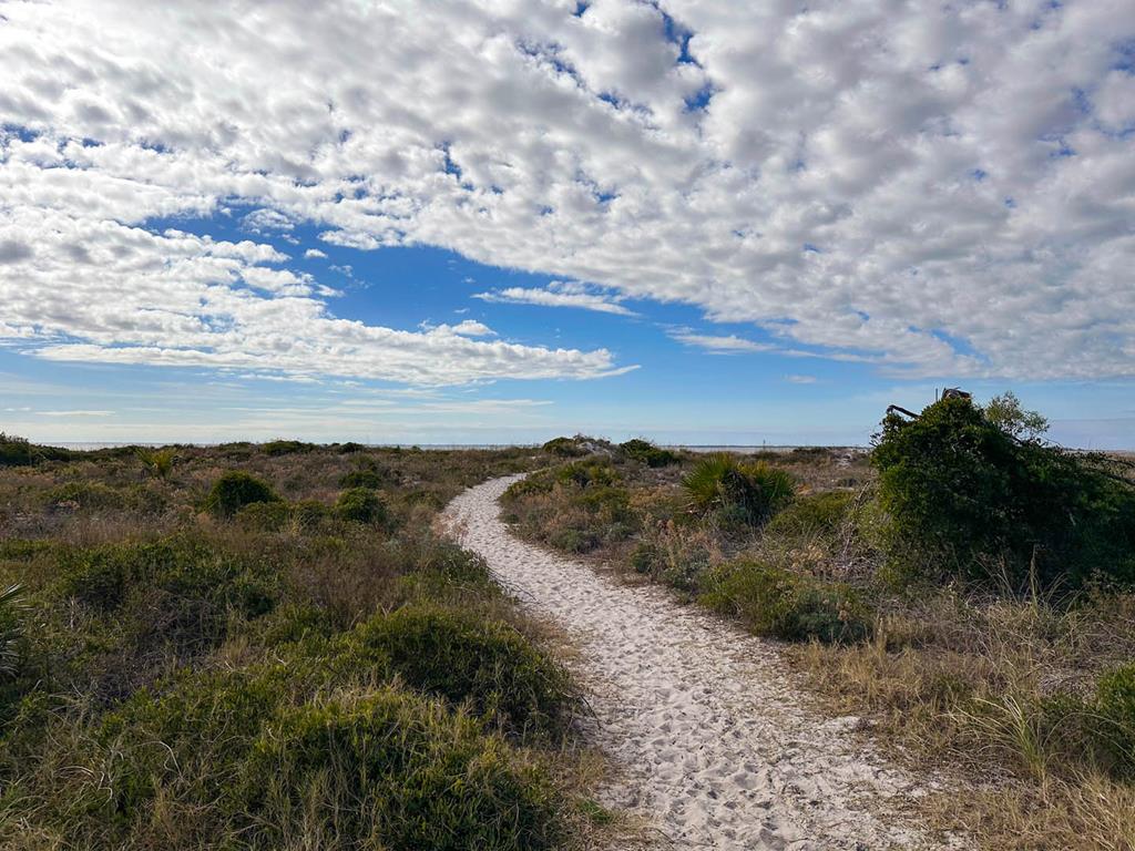 1861 Backwater Road Port St. Joe, FL 32456 - Photo 37 of 38