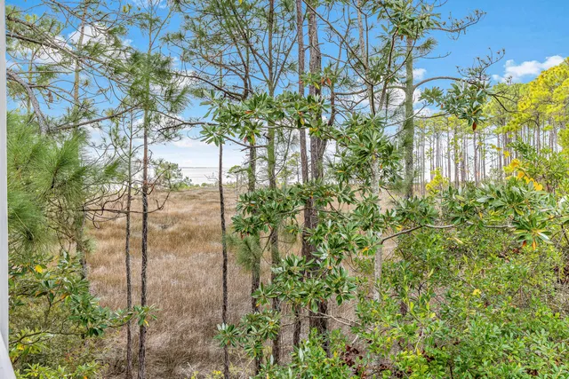 a backyard of a house with lots of green space and garden