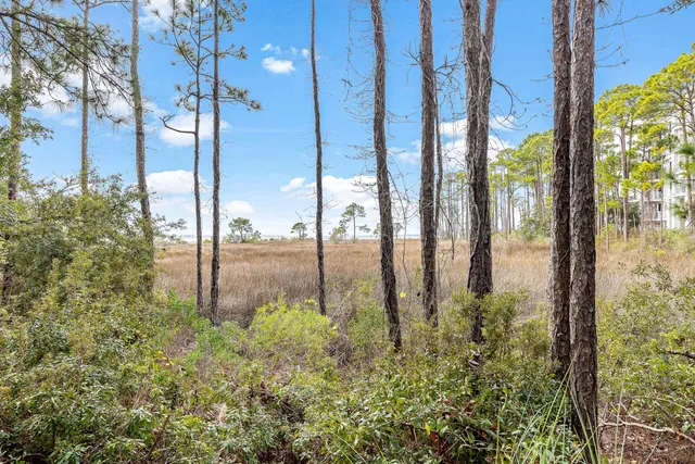 a view of a building with many windows