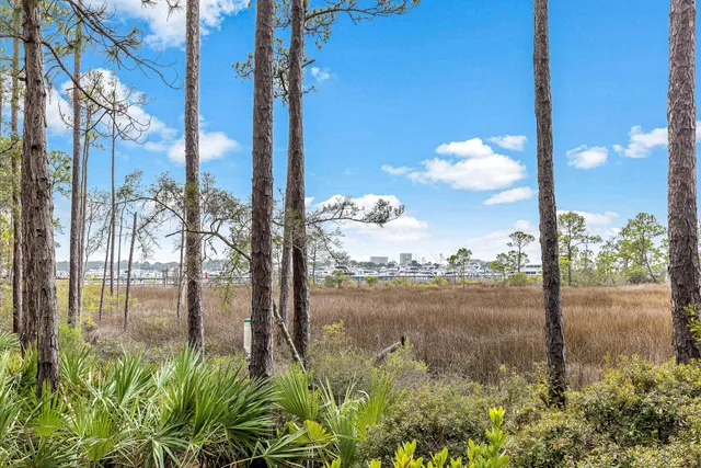 a view of a big house with a big yard and a large tree in front of it