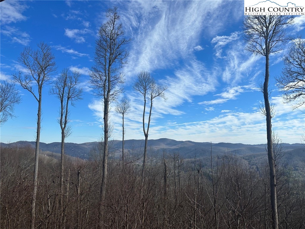 299 Indian Paintbrush Drive, Unit R211 Banner Elk, NC 28604 - Photo 15 of 39