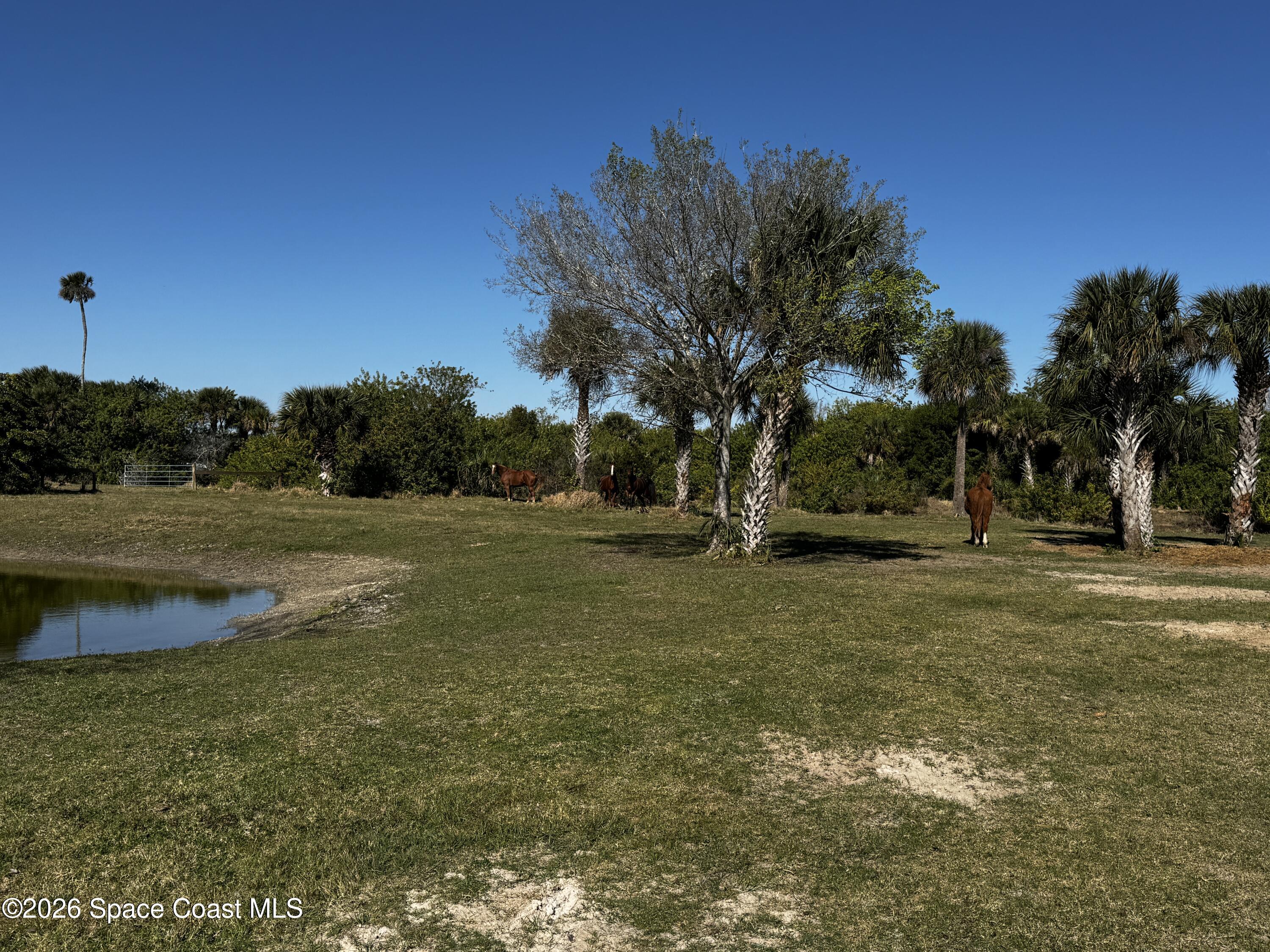 0 Grantline 10 Acres Road Mims, FL 32754 - Photo 13 of 15 IMG_8254