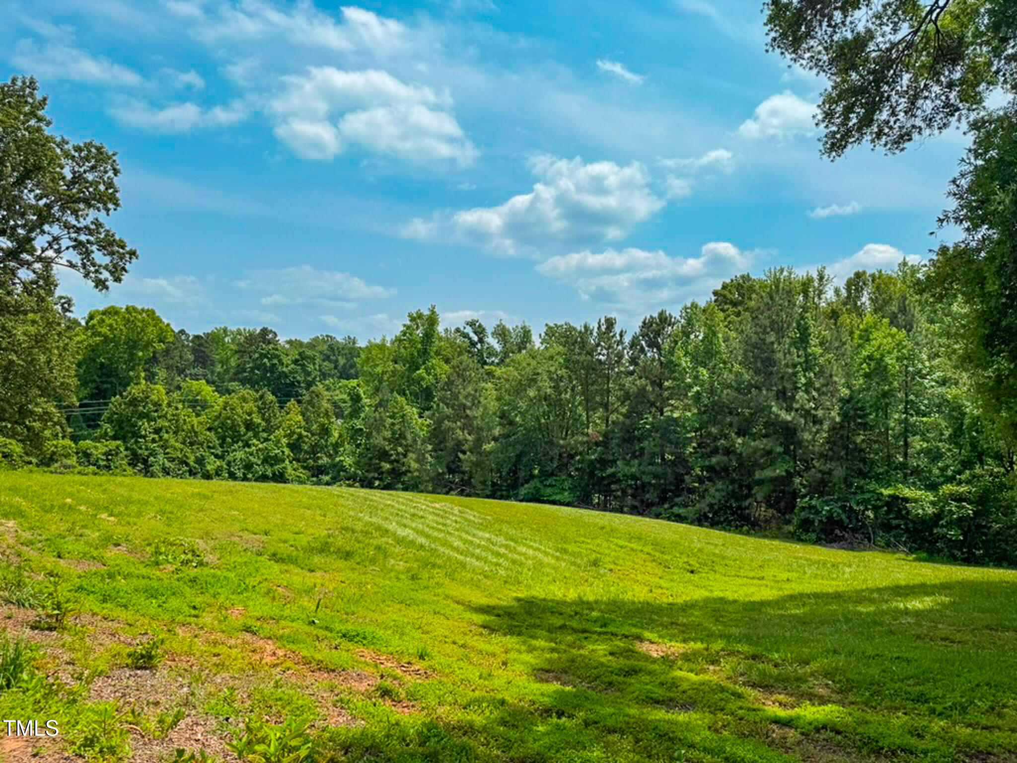 9455 Boston Road Roxboro, NC 27574 - Photo 16 of 42 a view of a field with an trees in the background