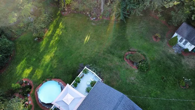 a view of a backyard with plants and a lake view