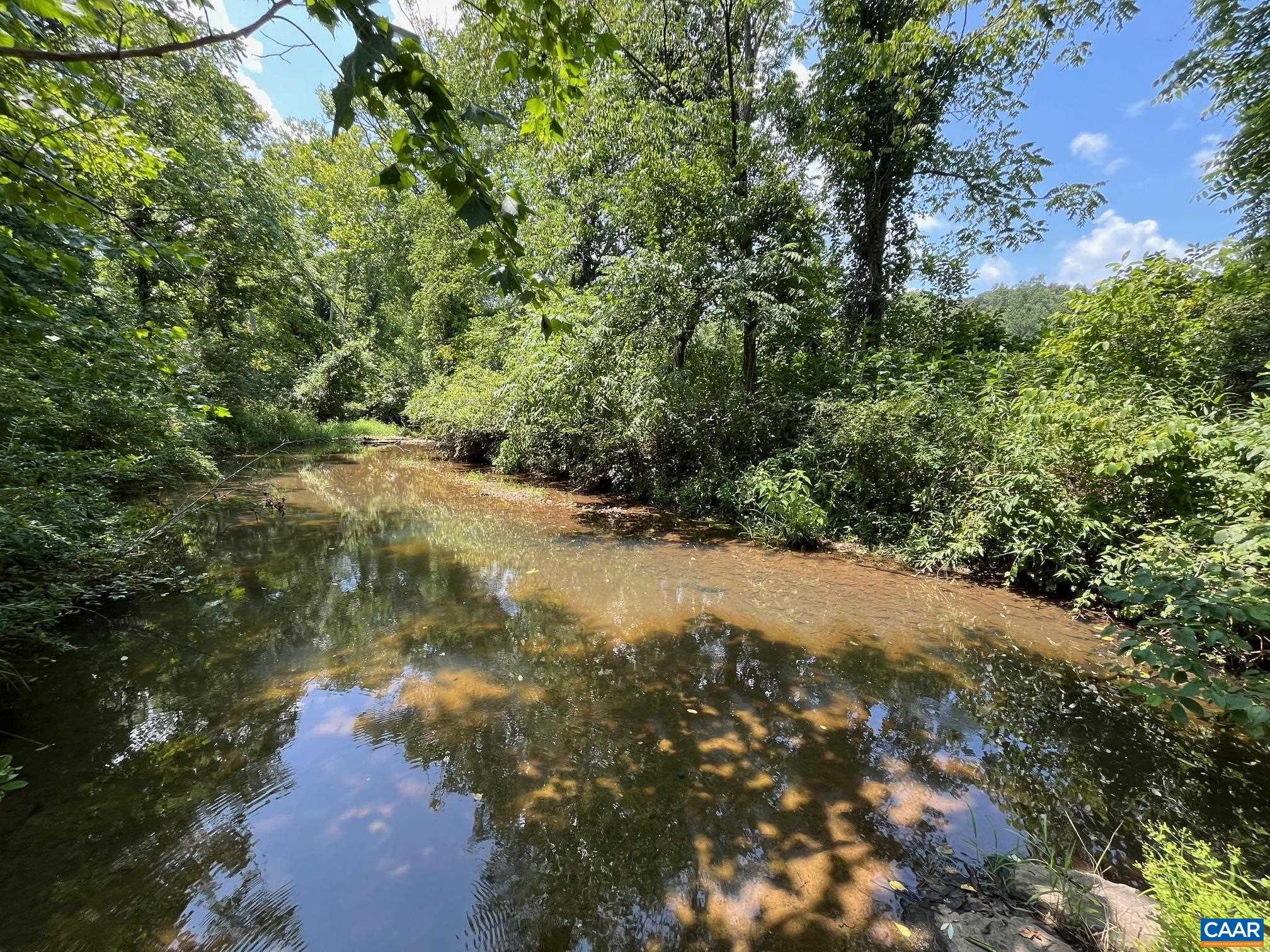 Mountain Road Afton, VA 22920 - Photo 17 of 27 a view of a lake with a tree