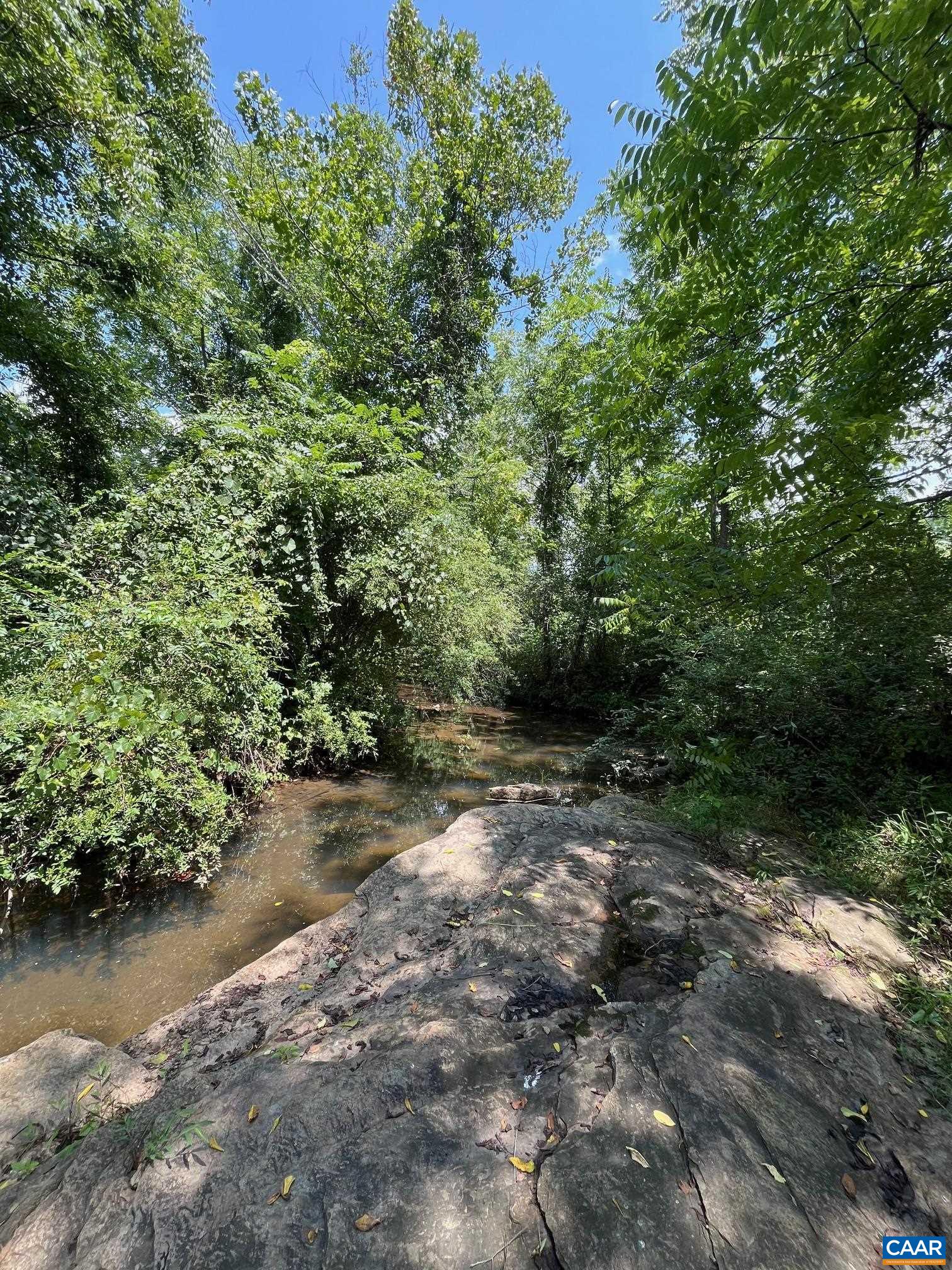 Mountain Road Afton, VA 22920 - Photo 19 of 27 a view of a road with plants and a trees