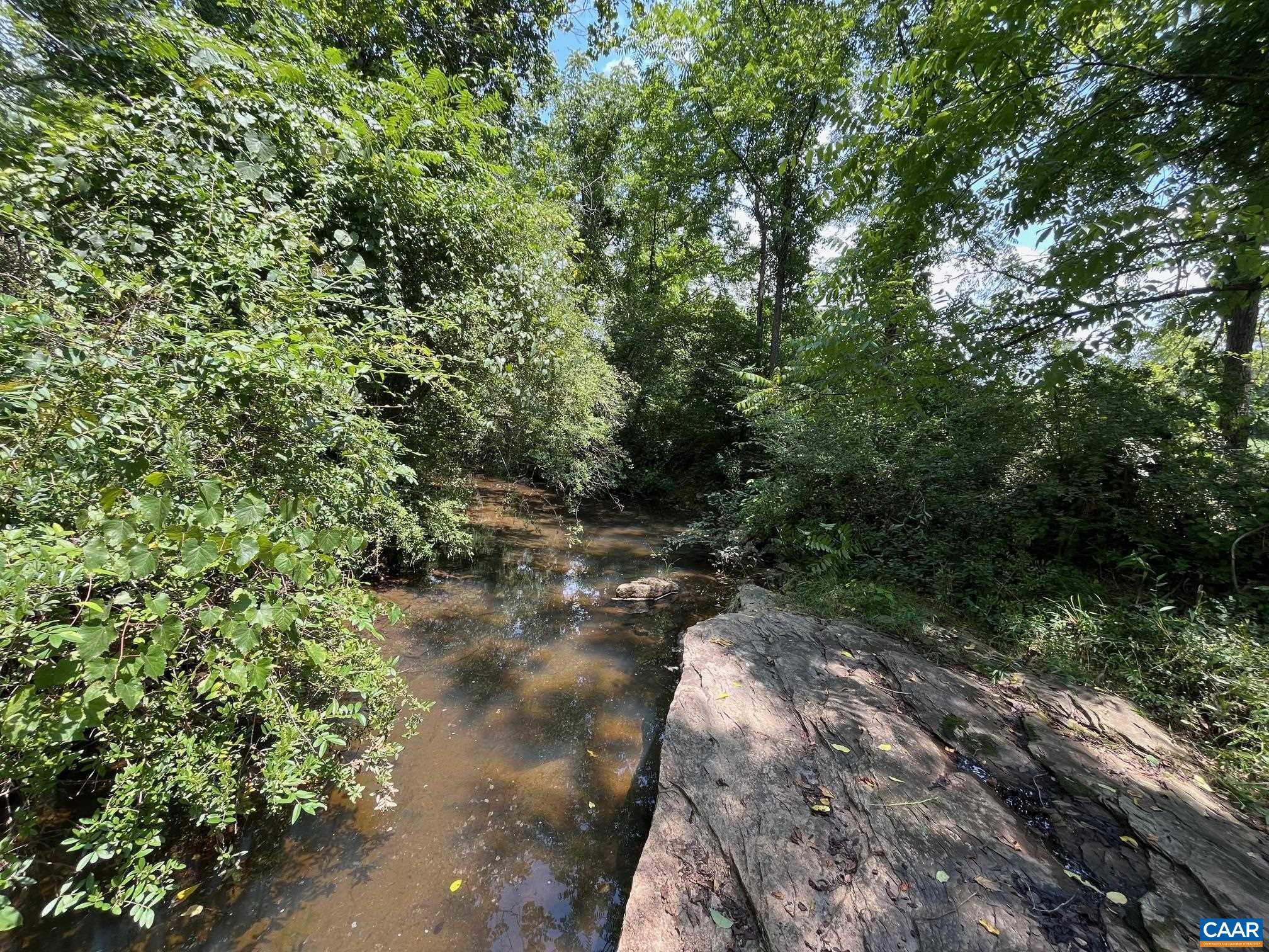 Mountain Road Afton, VA 22920 - Photo 25 of 27 a view of a forest with a tree