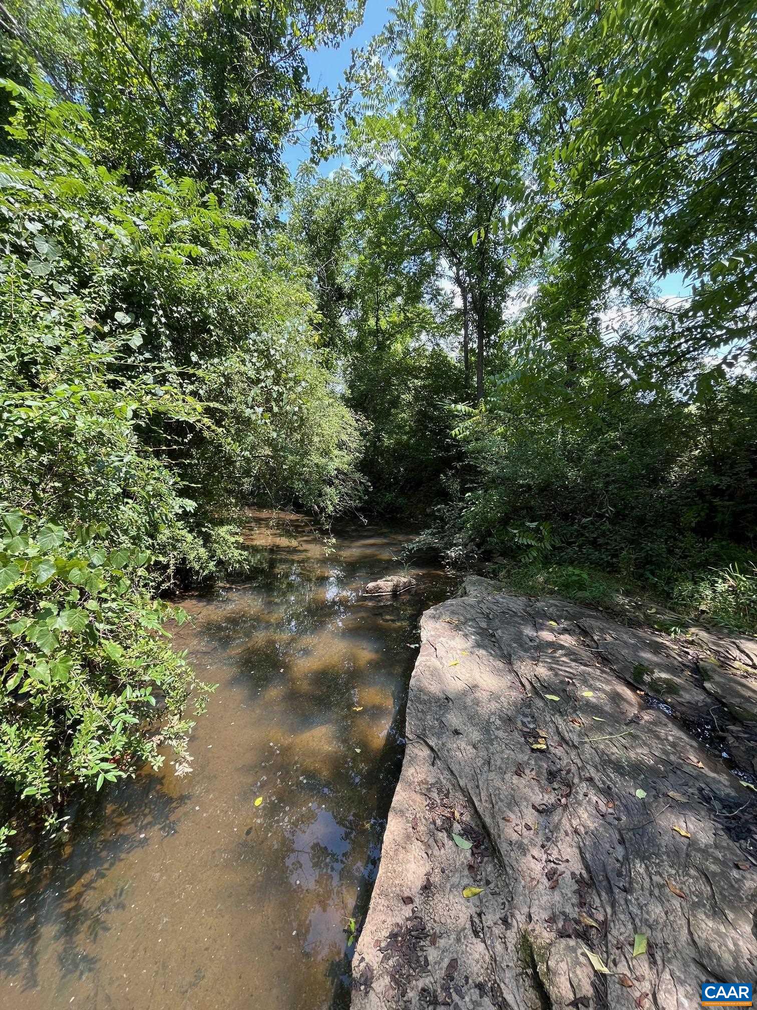 Mountain Road Afton, VA 22920 - Photo 26 of 27 a view of a forest filled with trees