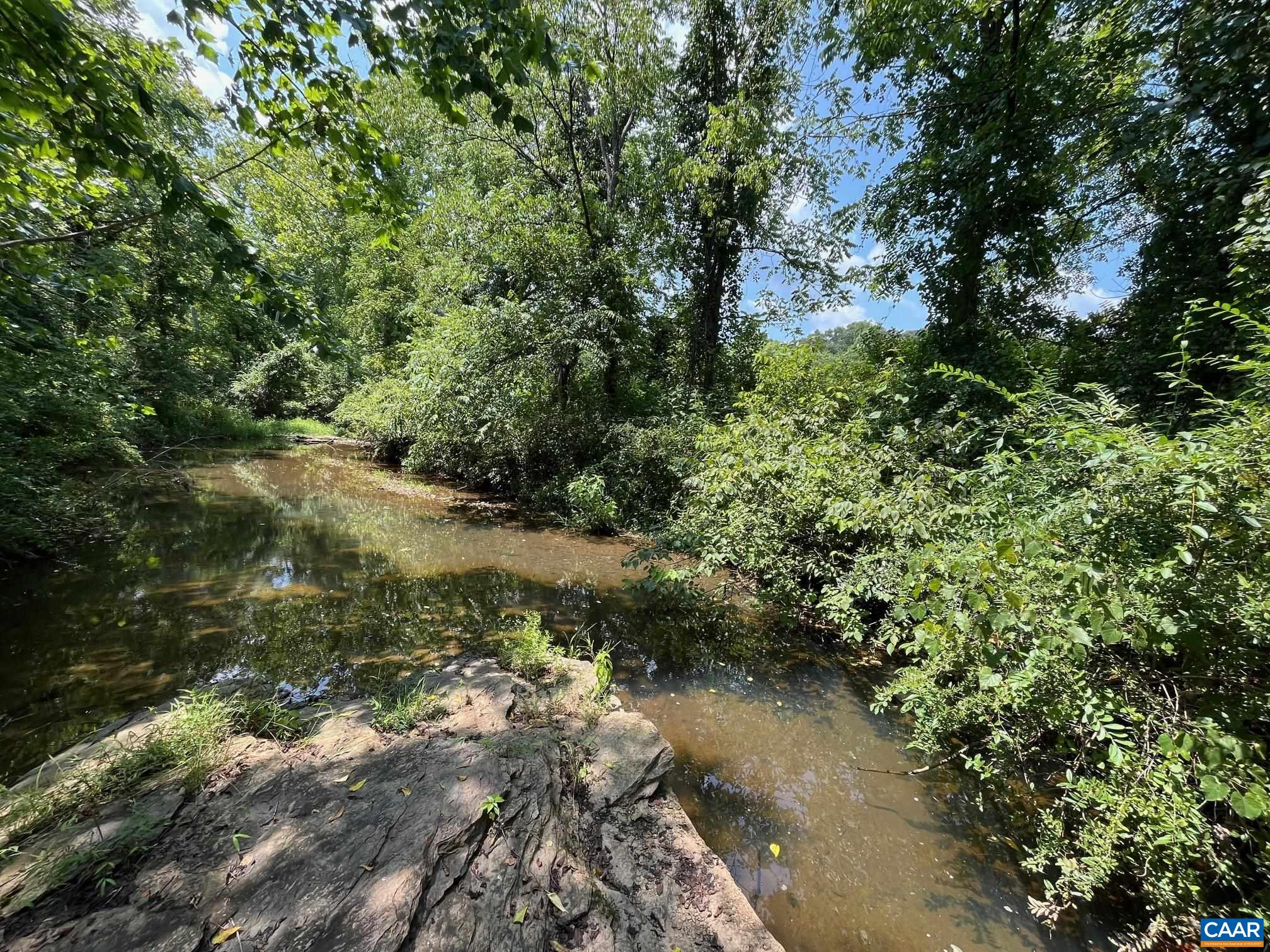 Mountain Road Afton, VA 22920 - Photo 3 of 27 a view of a pathway both side of yard