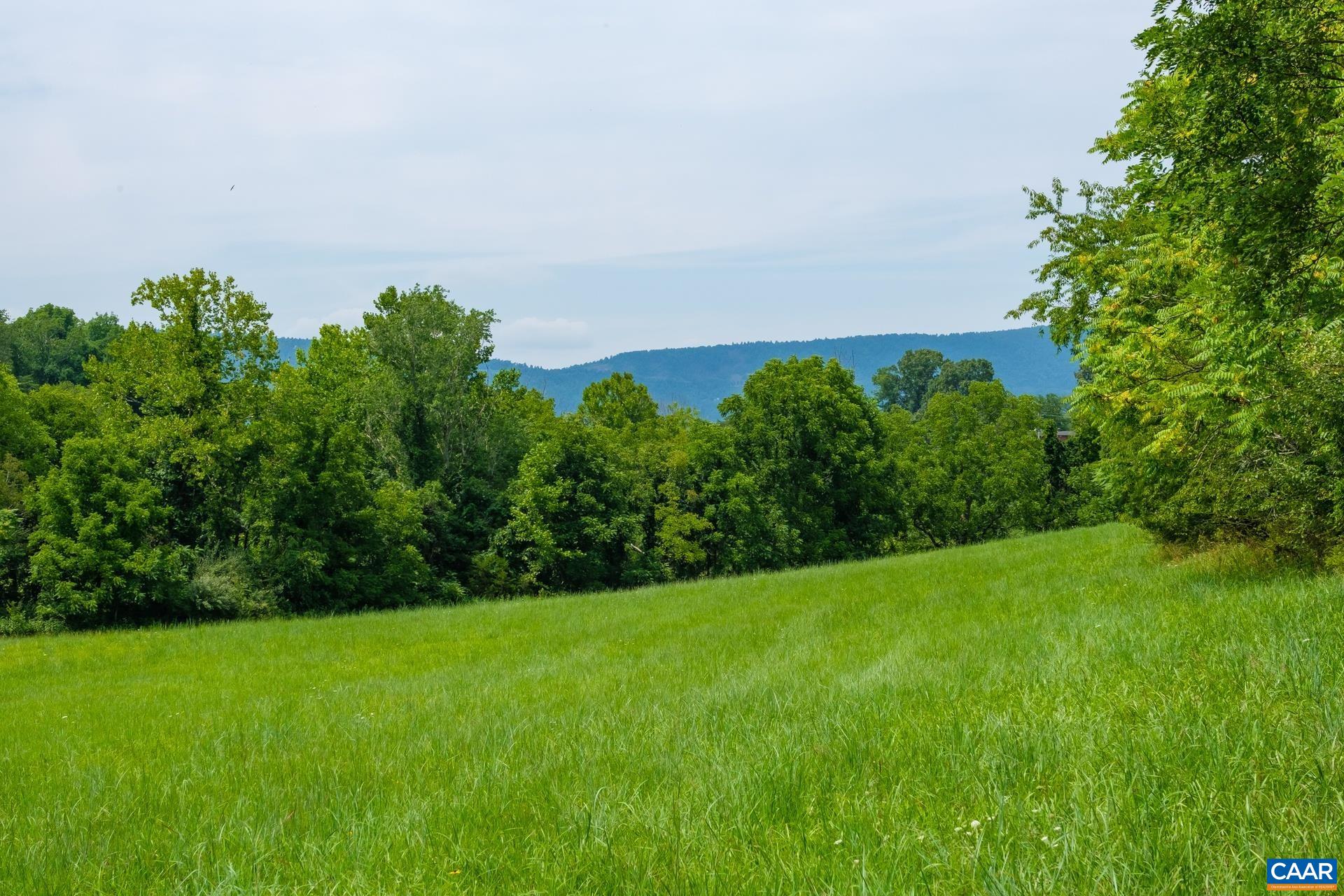 Mountain Road Afton, VA 22920 - Photo 7 of 27 a view of a garden with a building in background