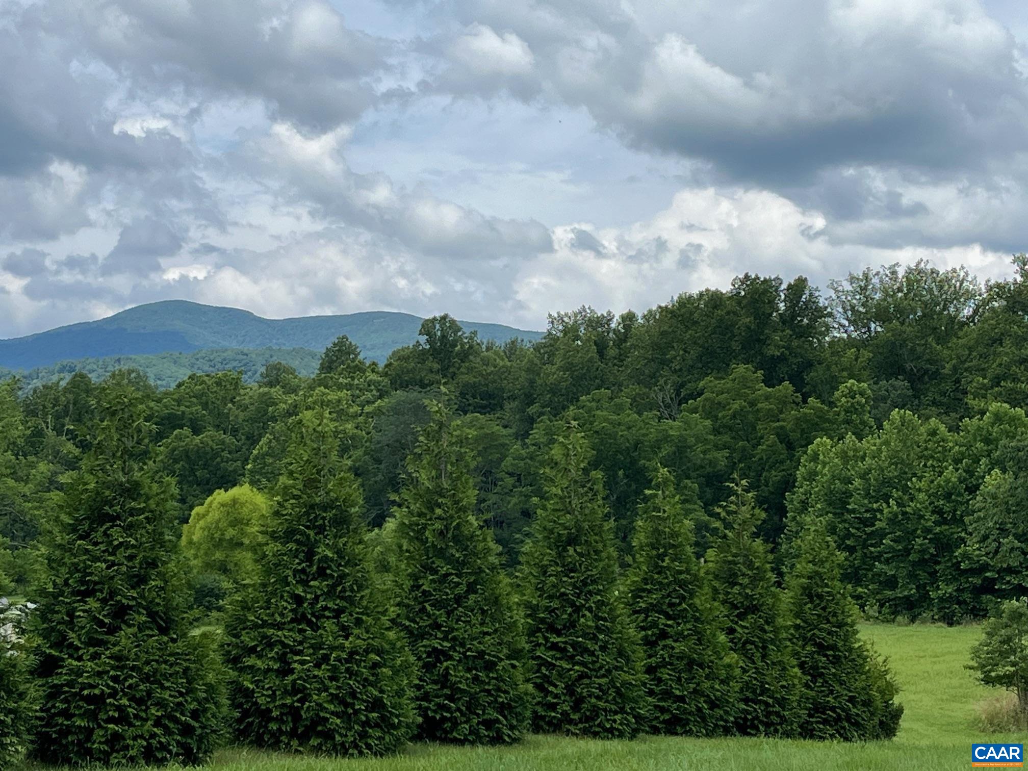 Mountain Road Afton, VA 22920 - Photo 9 of 27 an aerial view of houses covered with trees