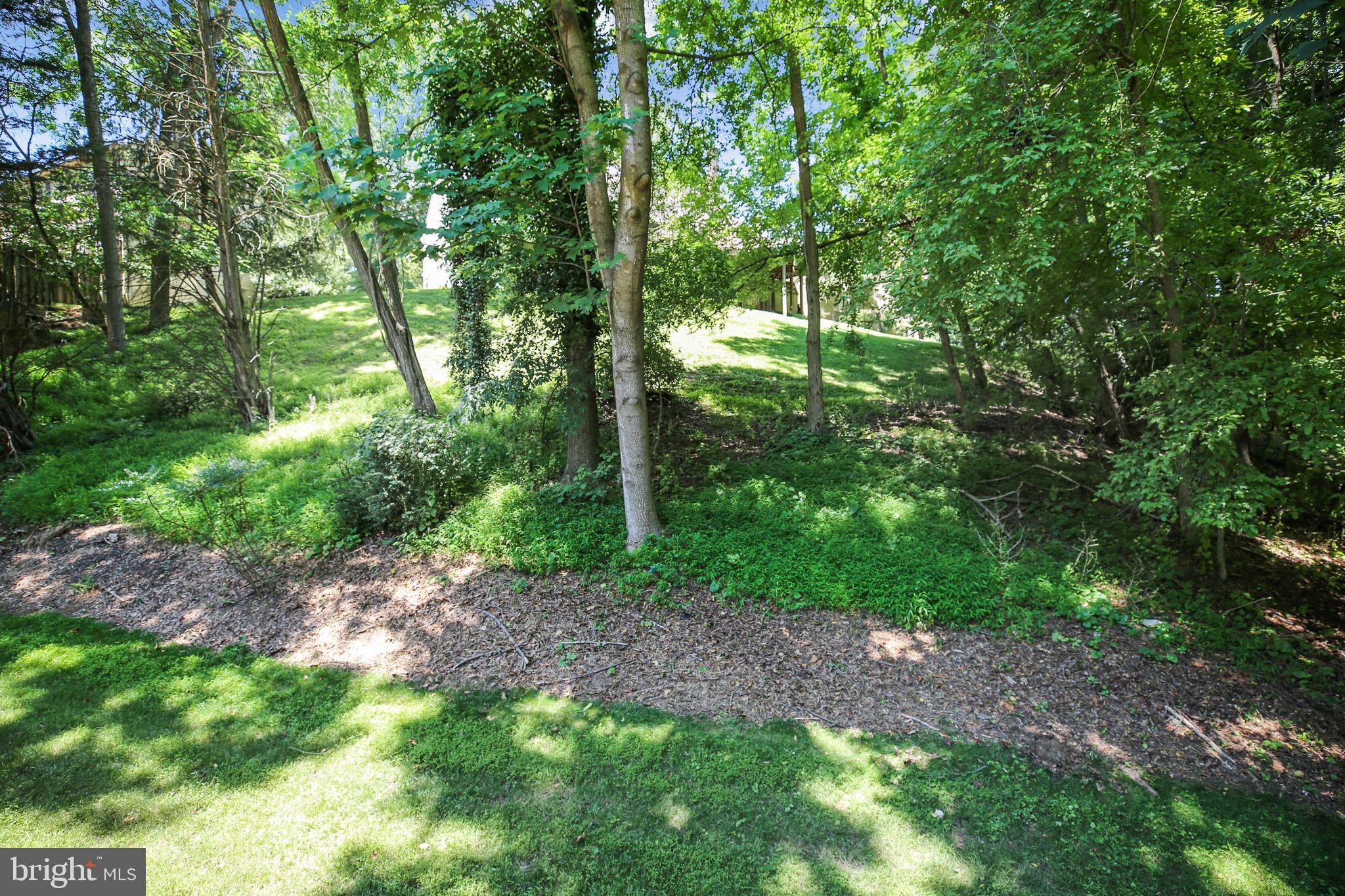 701 Kersey Road Silver Spring, MD 20902 - Photo 65 of 66 Gallery Image 65