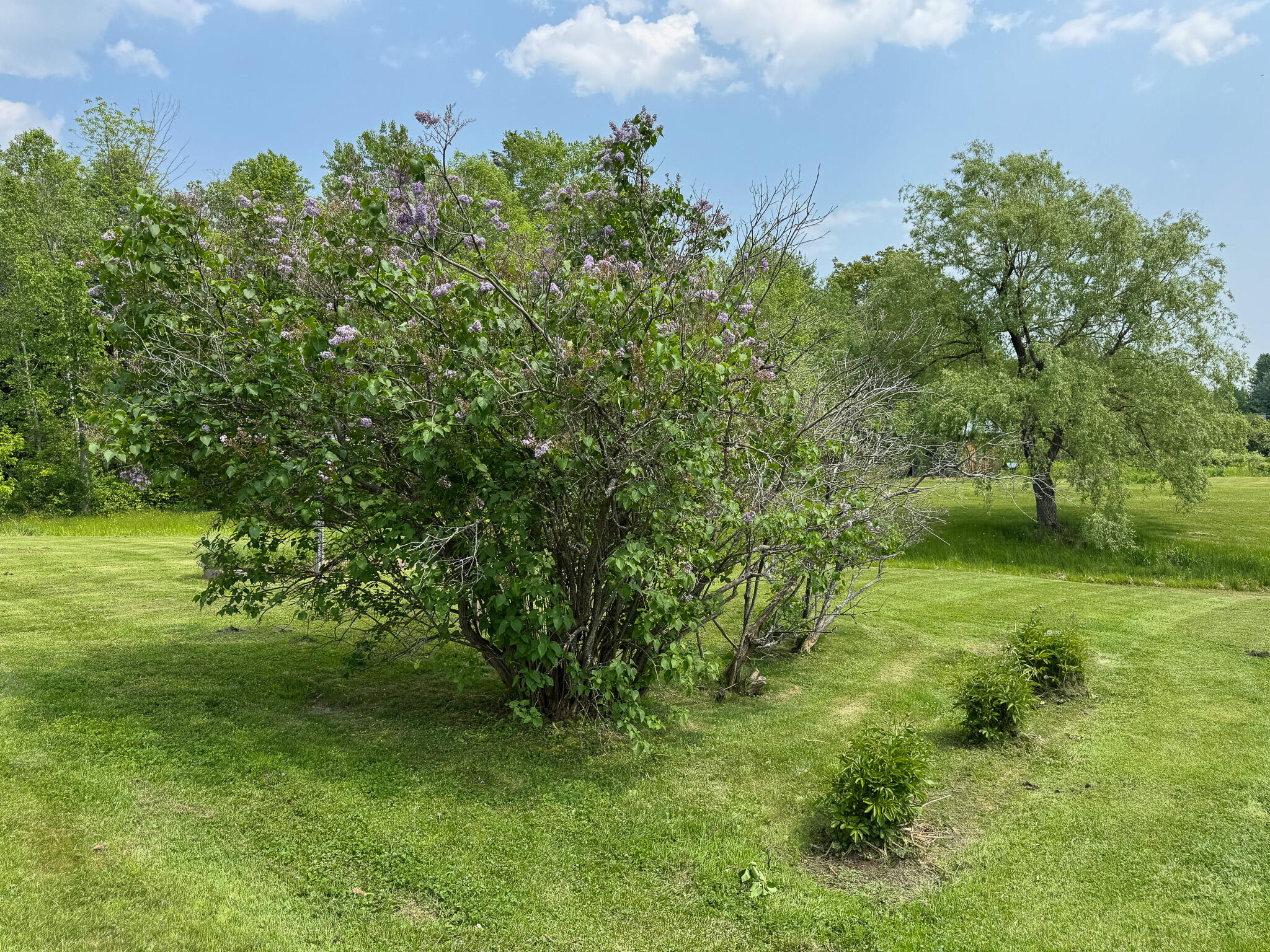 124 Swan Road Hermon, ME 04401 - Photo 11 of 41 13