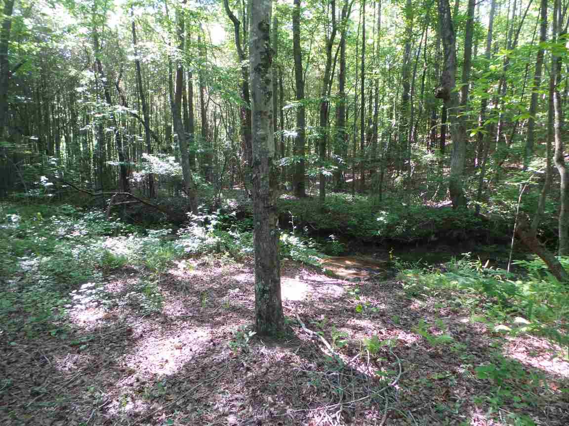 220 Cabin Creek Road Gaffney, SC 29341 - Photo 19 of 21