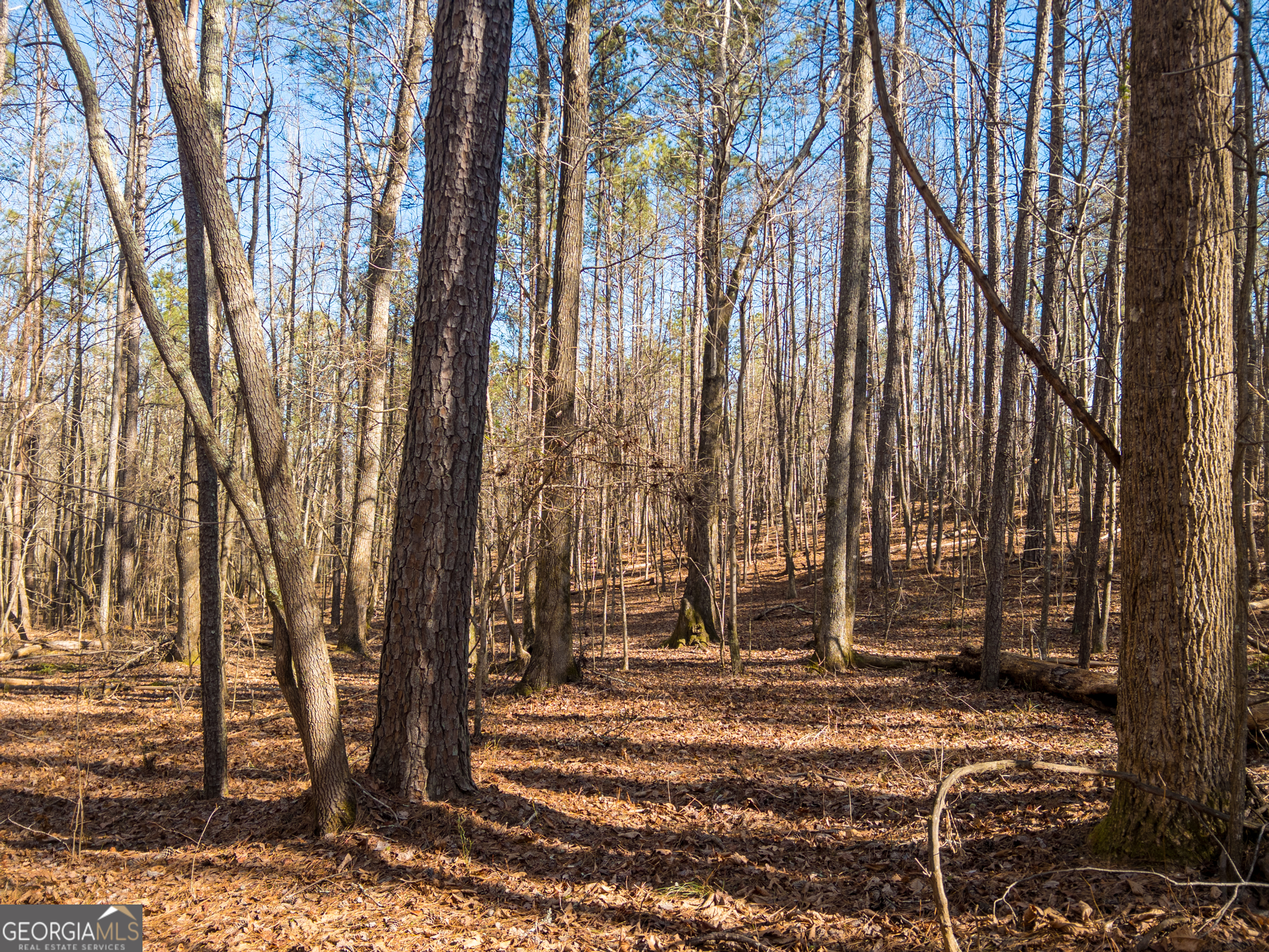 0 East Carroll Road Winston, GA 30187 - Photo 7 of 12 Gallery Image 7