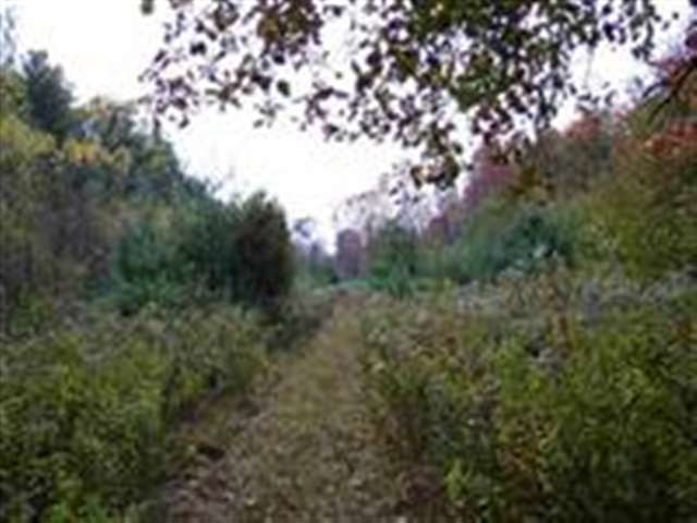 3 Dunham Pond Road Greenfield, NY 12833 - Photo 11 of 12 Photo 11