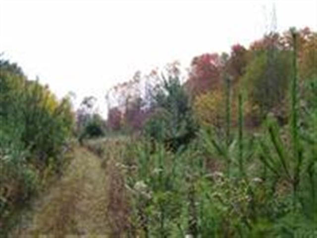 3 Dunham Pond Road Greenfield, NY 12833 - Photo 4 of 12 Photo 4