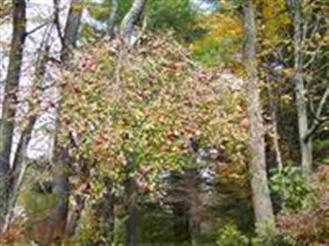 3 Dunham Pond Road Greenfield, NY 12833 - Photo 5 of 12 Photo 5