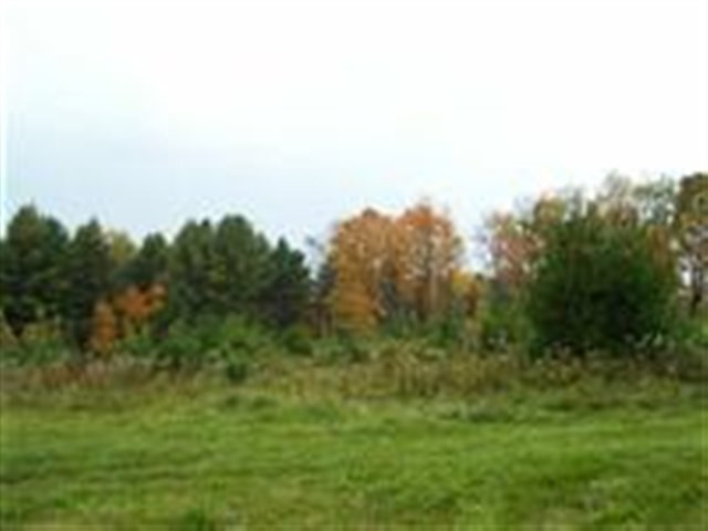 3 Dunham Pond Road Greenfield, NY 12833 - Photo 6 of 12 Photo 6
