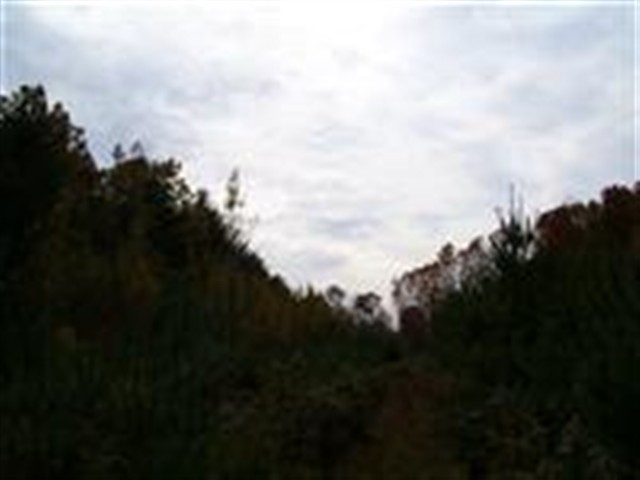 3 Dunham Pond Road Greenfield, NY 12833 - Photo 7 of 12 Photo 7