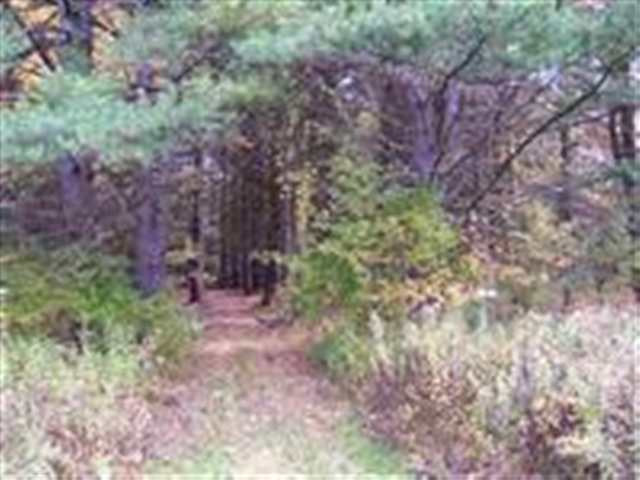 3 Dunham Pond Road Greenfield, NY 12833 - Photo 8 of 12 Photo 8