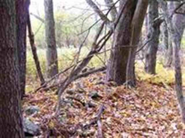 3 Dunham Pond Road Greenfield, NY 12833 - Photo 9 of 12 Photo 9