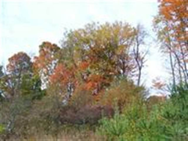 3 Dunham Pond Road Greenfield, NY 12833 - Photo 10 of 12 Photo 10
