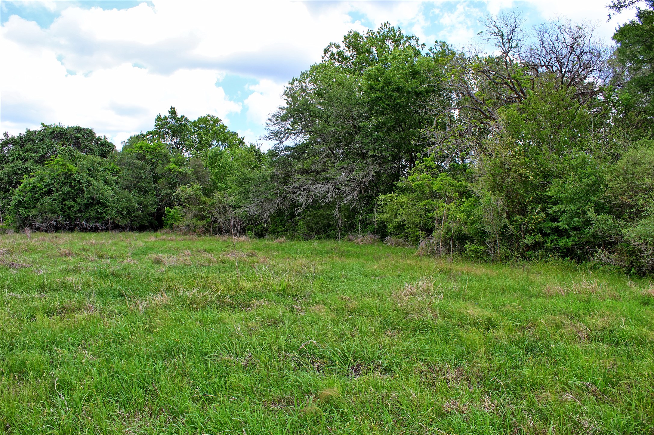 Tbd Harmony Road Weimar, TX 78962 - Photo 22 of 28