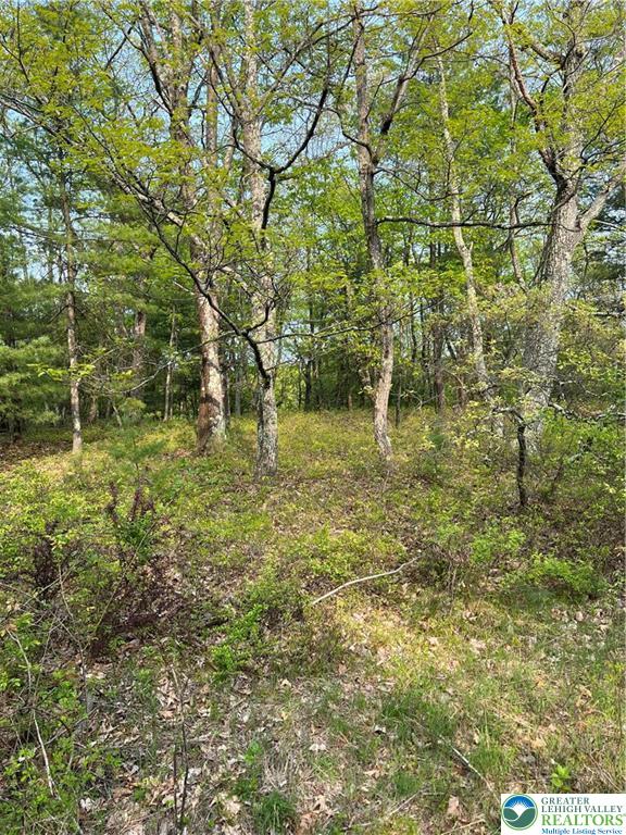 160 Oakridge Drive, Unit 137 Dingmans Ferry, PA 18328 - Photo 2 of 5 a big yard with lots of green space and plants