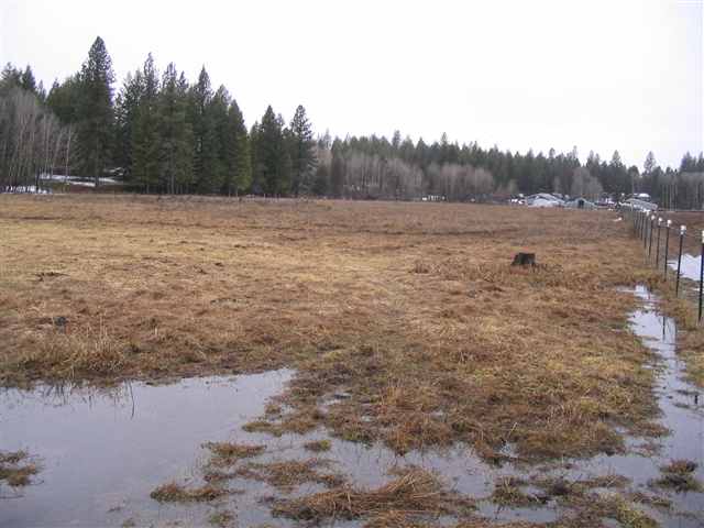 Blanchard-conklin East Rd Elk Wa 99009 Road Elk, WA 99009 - Photo 1 of 3 Gallery Image 1