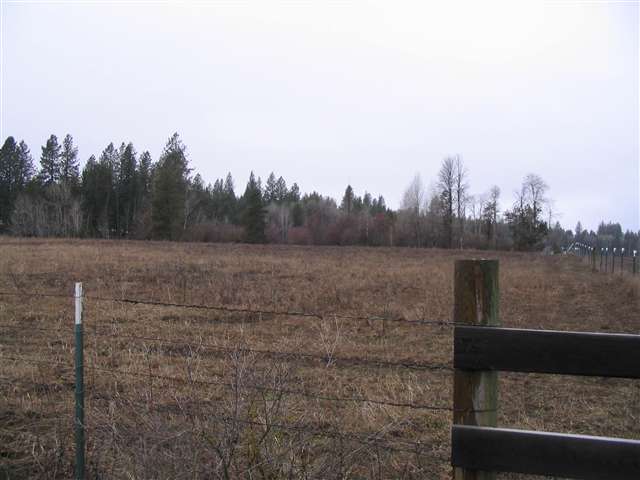 Blanchard-conklin East Rd Elk Wa 99009 Road Elk, WA 99009 - Photo 2 of 3 Gallery Image 2