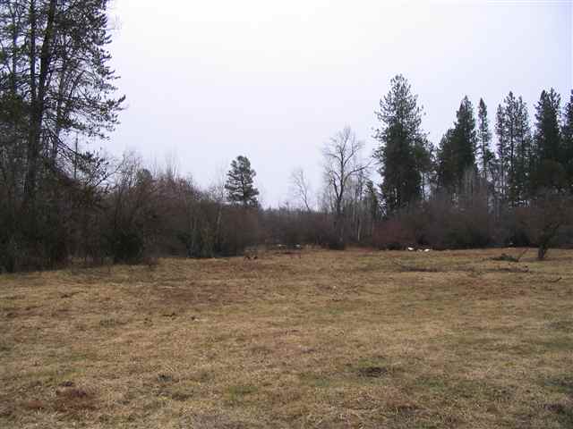 Blanchard-conklin East Rd Elk Wa 99009 Road Elk, WA 99009 - Photo 3 of 3 Gallery Image 3