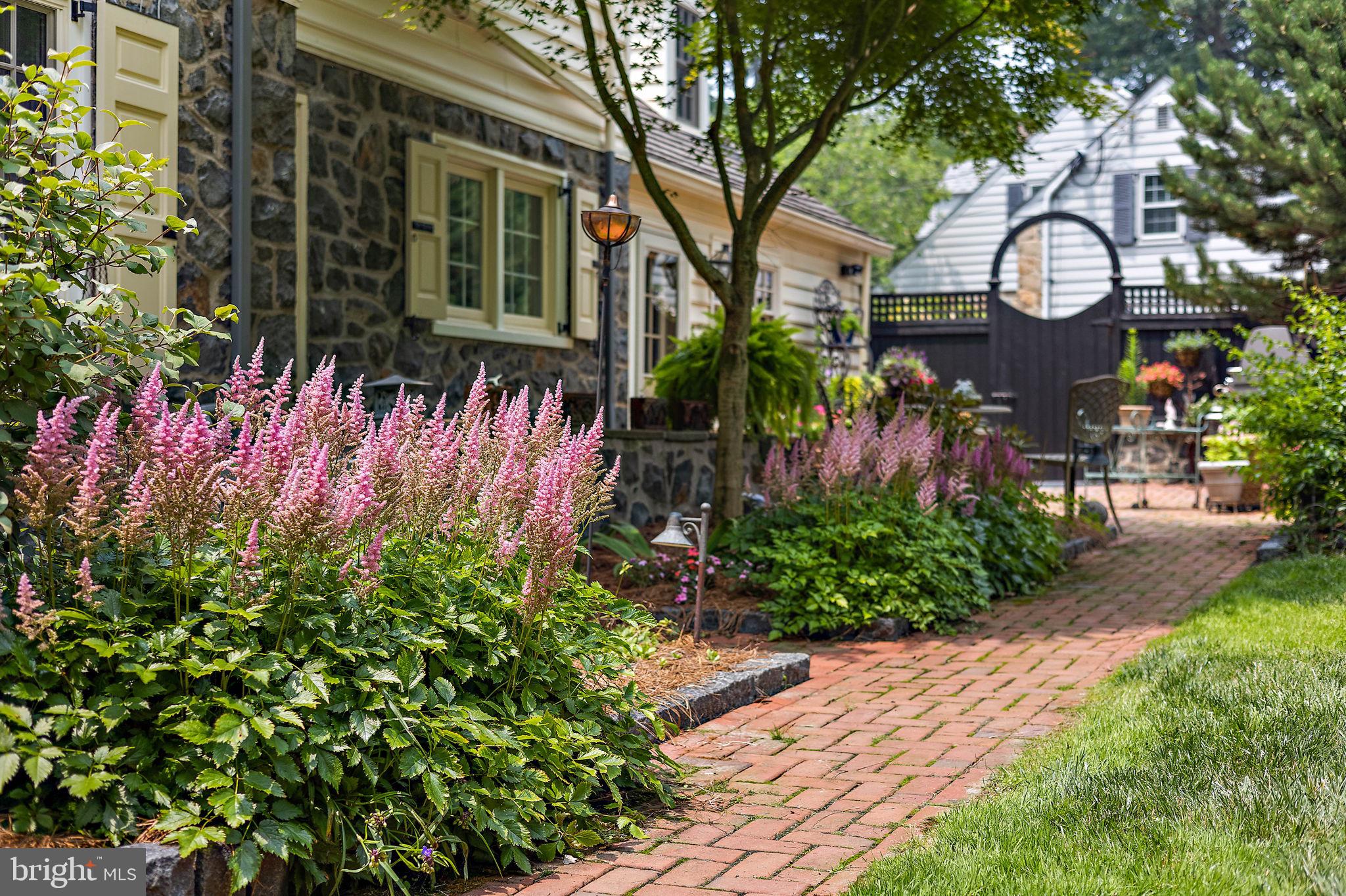 900 Overbrook Road Wilmington, DE 19807 - Photo 49 of 70 Some summer backyard color