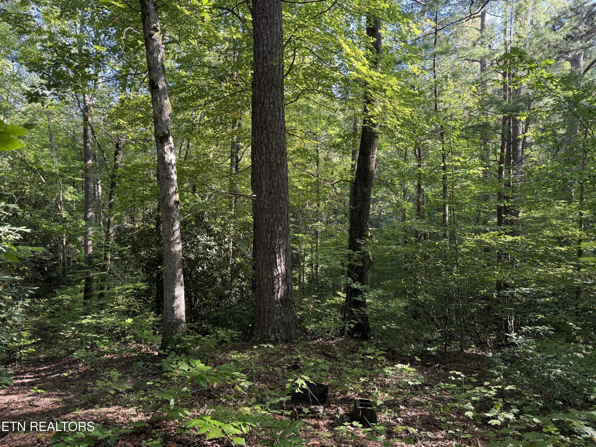 0 Covemont Road Sevierville, TN 37862 - Photo 10 of 23 Gallery Image 10